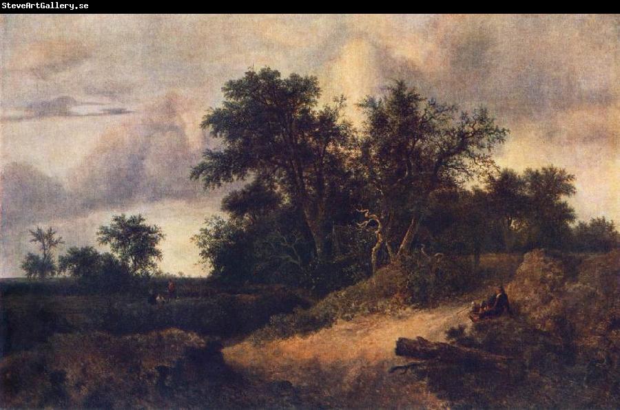 RUISDAEL, Jacob Isaackszon van Landscape with a House in the Grove at